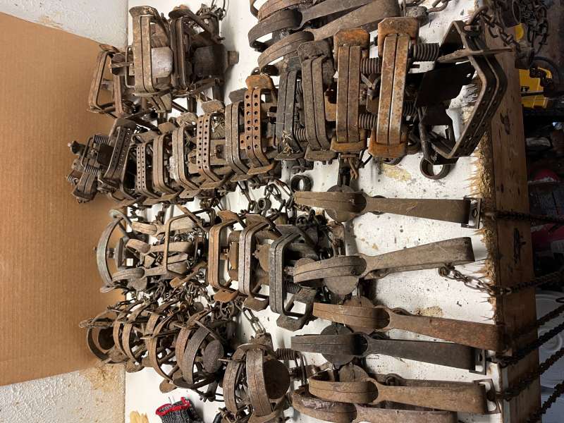 Name: IMG_2973 (1).jpg
Views: 1993
Size: 87.14 KB
ID: 22117 IMG_2973 (1).jpg